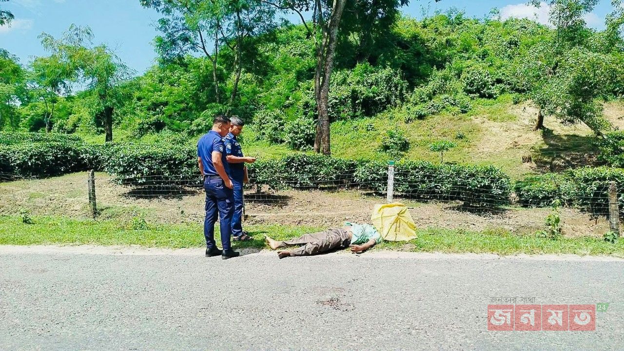 চুনারুঘাটে সড়ক দুর্ঘটনায় ব্যবসায়ী নিহত